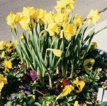 95th Street Streetscape