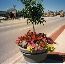 95th Street Streetscape