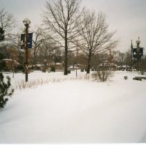 Village Green in Winter