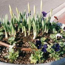 95th Street Streetscape