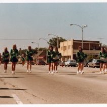 Oak Lawn Pet Parade, 1980