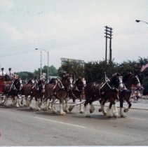 Oak Lawn Fest Parade, 1983