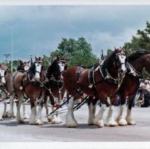 Oak Lawn Centennial Parade, 1982