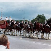 Oak Lawn Centennial Parade, 1982