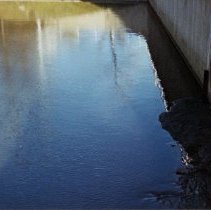 Lakeshore Park (Oak Lawn Lake), 1994