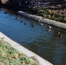 Lakeshore Park (Oak Lawn Lake), 1994