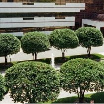 View from the Parking Garage at Christ Hospital