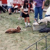 Fall on the Green, 1997
