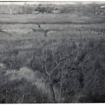 View from the Hangman's Tree near 102nd Street & Menard Avenue