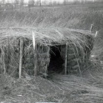 Sod Hut in Prairie