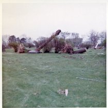 Aftermath of the 1967 Oak Lawn Tornado