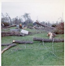 Aftermath of the 1967 Oak Lawn Tornado