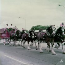 Oak Lawn Centennial Parade, 1982
