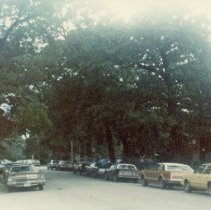 Oak Lawn Centennial Parade, 1982