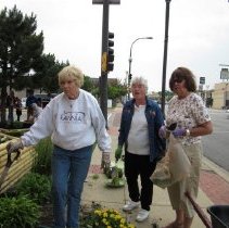 Oak Lawn Garden Club Planting Project