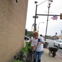 Oak Lawn Garden Club Planting Project
