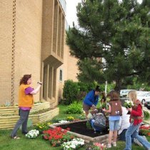 Oak Lawn Garden Club Planting Project
