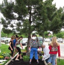 Oak Lawn Garden Club Planting Project