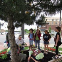 Oak Lawn Garden Club Planting Project
