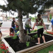 Oak Lawn Garden Club Planting Project