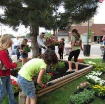 Oak Lawn Garden Club Planting Project