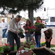 Oak Lawn Garden Club Planting Project
