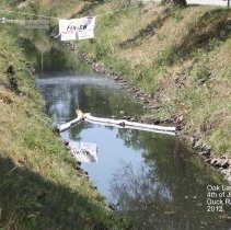 Oak Lawn Fourth of July Duck Race