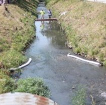 Oak Lawn Fourth of July Duck Race