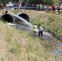 Oak Lawn Fourth of July Duck Race