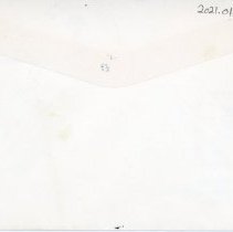 United States Postal Service Envelope