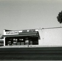 Coconuts Music and Video