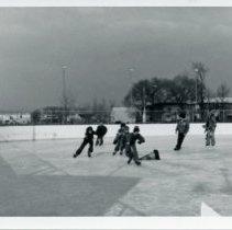 Central Park Ice Arena