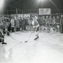 Central Park Ice Arena
