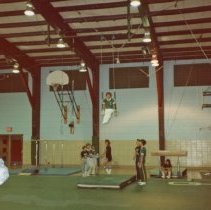 Oak Lawn Community High School Gymnastics