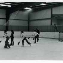 Central Park Ice Arena