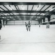 Central Park Ice Arena