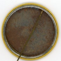 Ed Derwinski Campaign Button