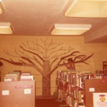 Librarian poses in front of tree