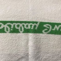 Holiday Inn of Oak Lawn bath towel, back