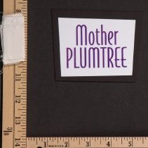 Card, Identification