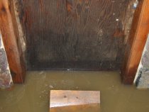 High water table at DeTurk kitchen doorway after heavy rainfall (2009)