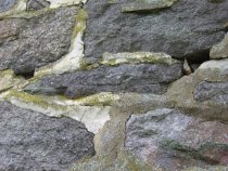 DeTurk House, pointing variations, image #1 (2009)