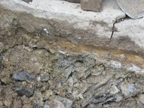 2635--Chipped and fractured bedrock stratum under door sill.