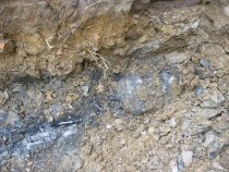 2636--White-veined blue limestone bedrock at bottom of excavation for stair