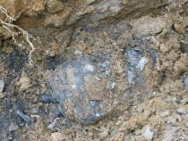 2637--White-veined blue limestone bedrock at bottom of excavation for stair
