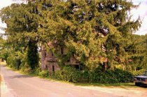 Keim House from NW, shrouded in foliage