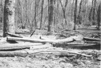 Moraltton Village, aftermath of 1972 flood