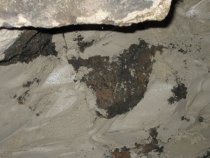 Michael Fulp House, interior cellar foundation wall restoration, #1164