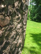 Detail of destabilized lower S gable wall of  Michael Fulp House (2009)