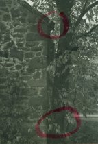 Michael Fulp House, detail of south gable wall (c.1966-67